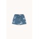 Big Swans shorts