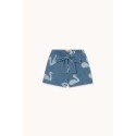 Big Swans shorts