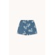 Big Swans shorts
