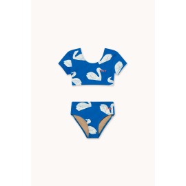 Big Swans swim set