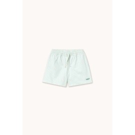 Cyan fine stripes swim trunks