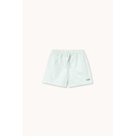 Cyan fine stripes swim trunks