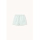 Cyan fine stripes swim trunks
