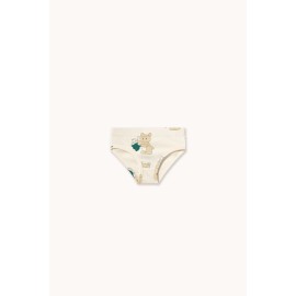 Bears briefs